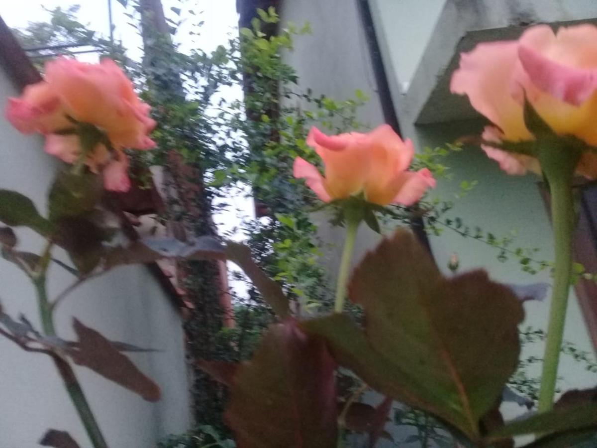 Chale Da Lu Villa Araquari Exteriör bild